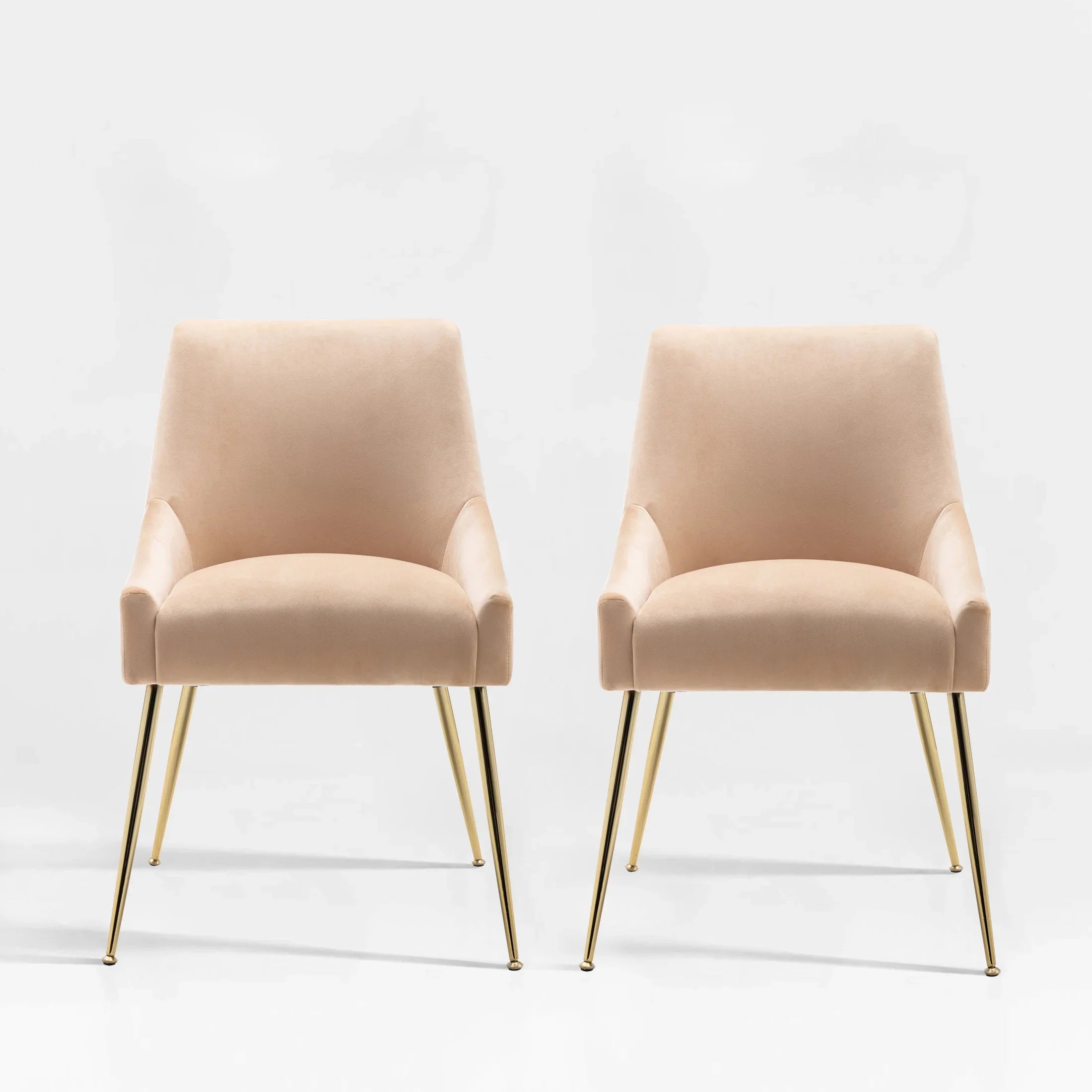 Makala Upholstered Velvet Accent Chair (Set of 2)