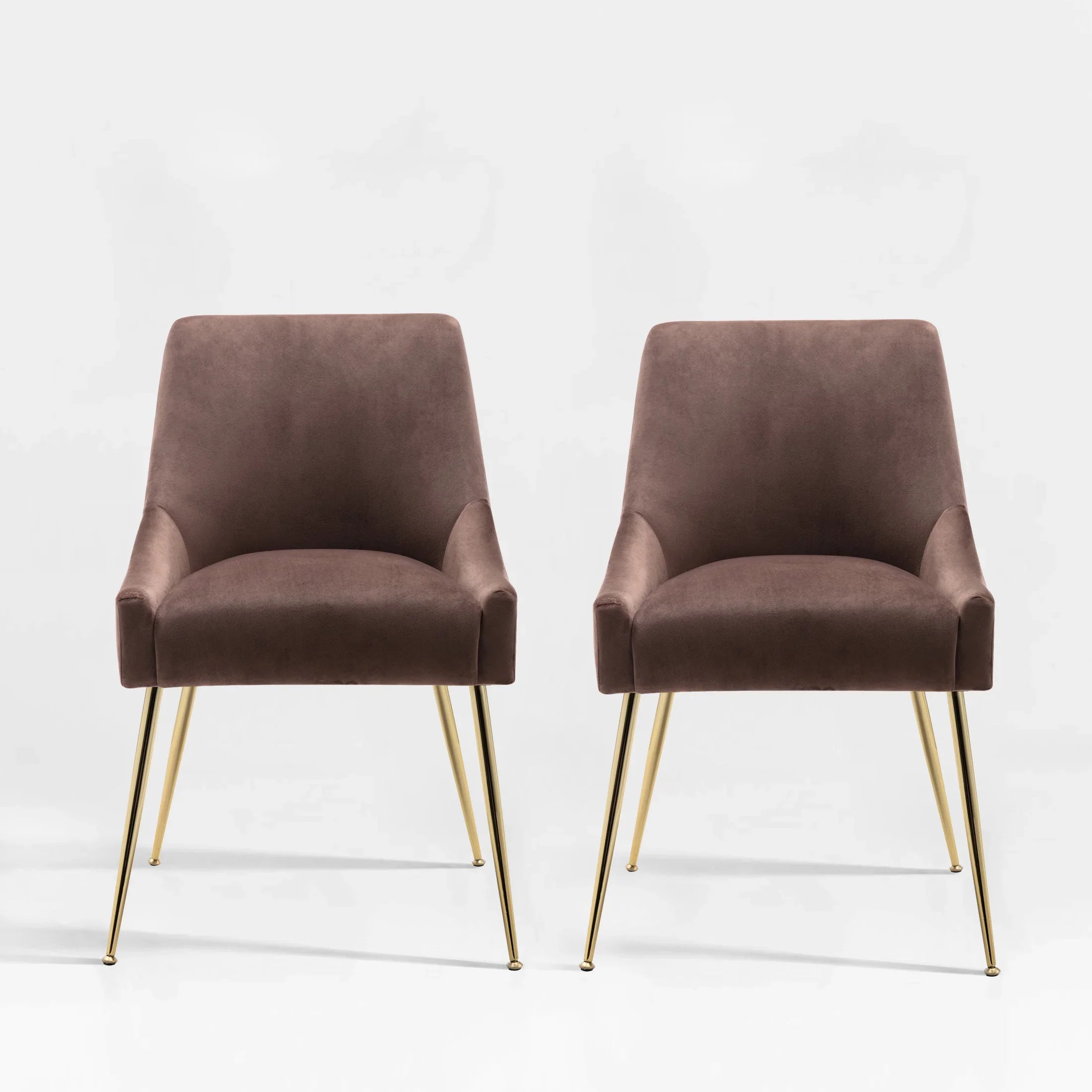 Makala Upholstered Velvet Accent Chair (Set of 2)