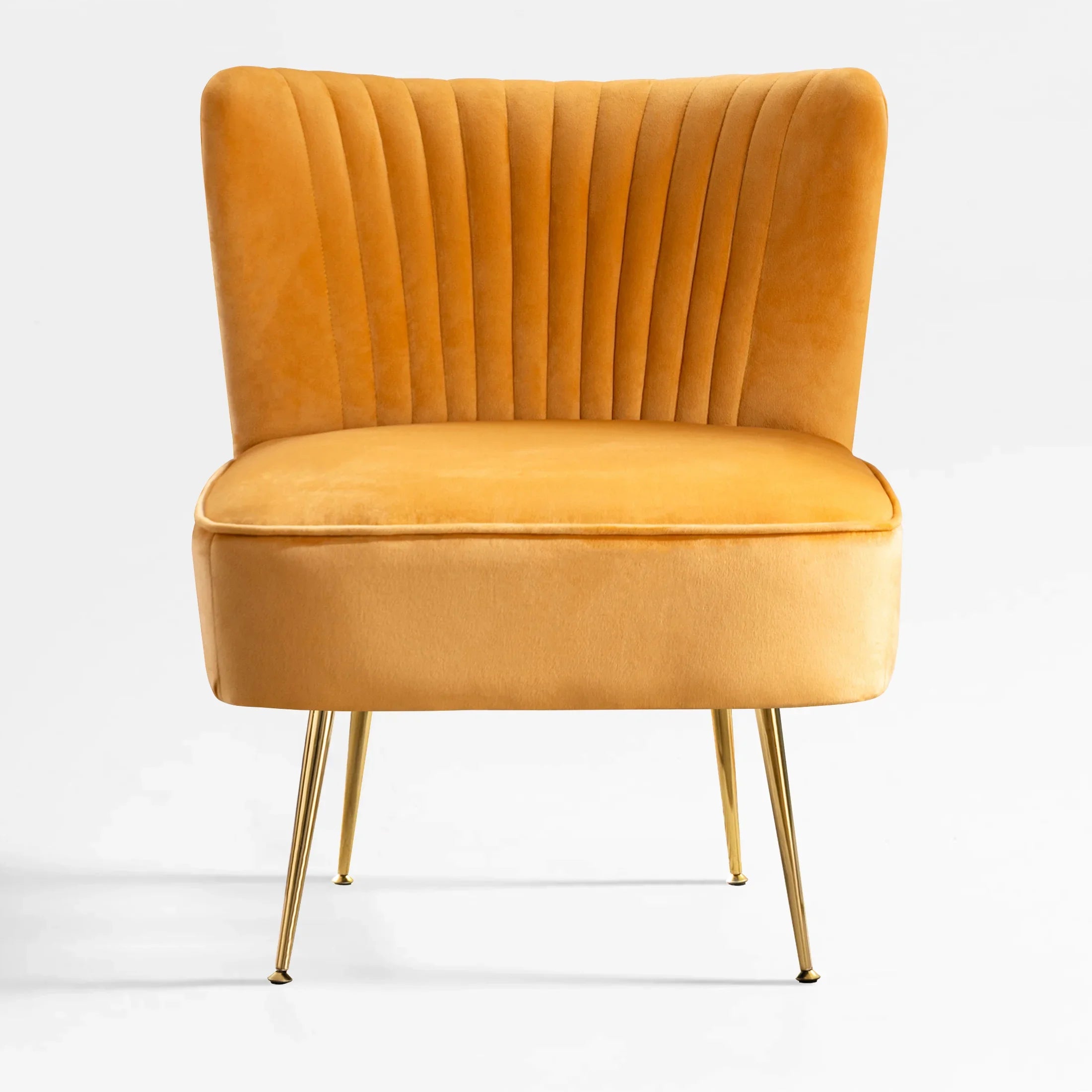 Alaia