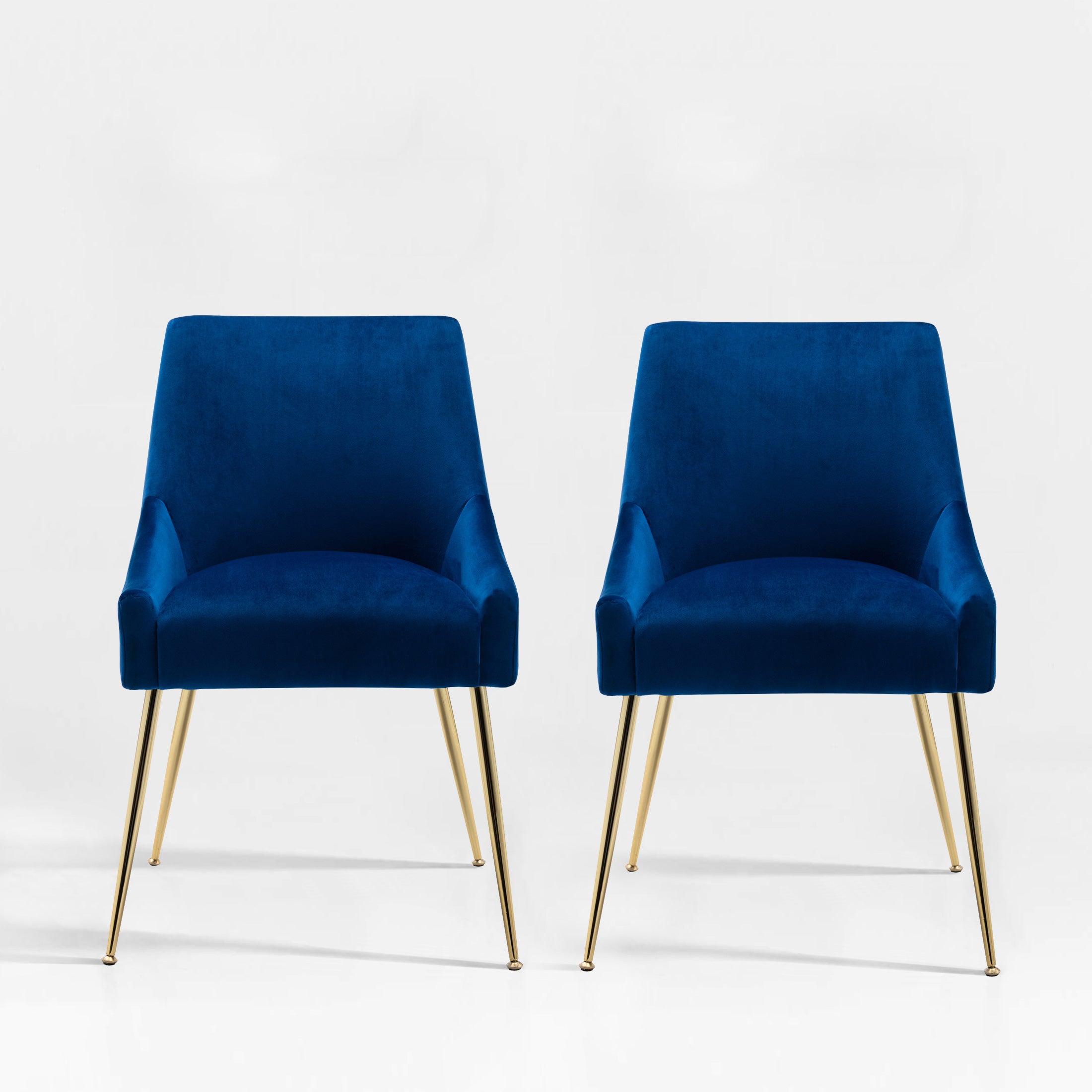 Makala Upholstered Velvet Accent Chair (Set of 2)