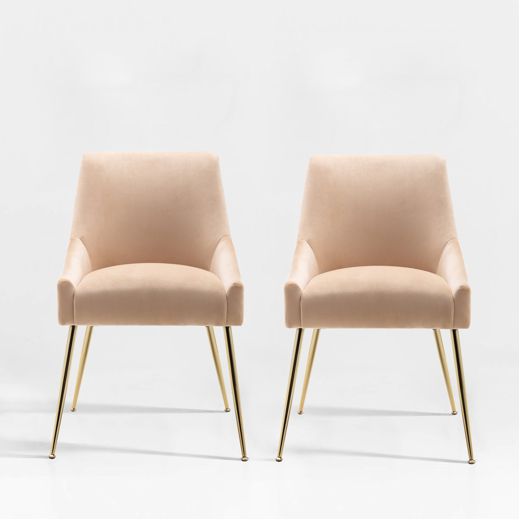 Makala Upholstered Velvet Accent Chair (Set of 2)