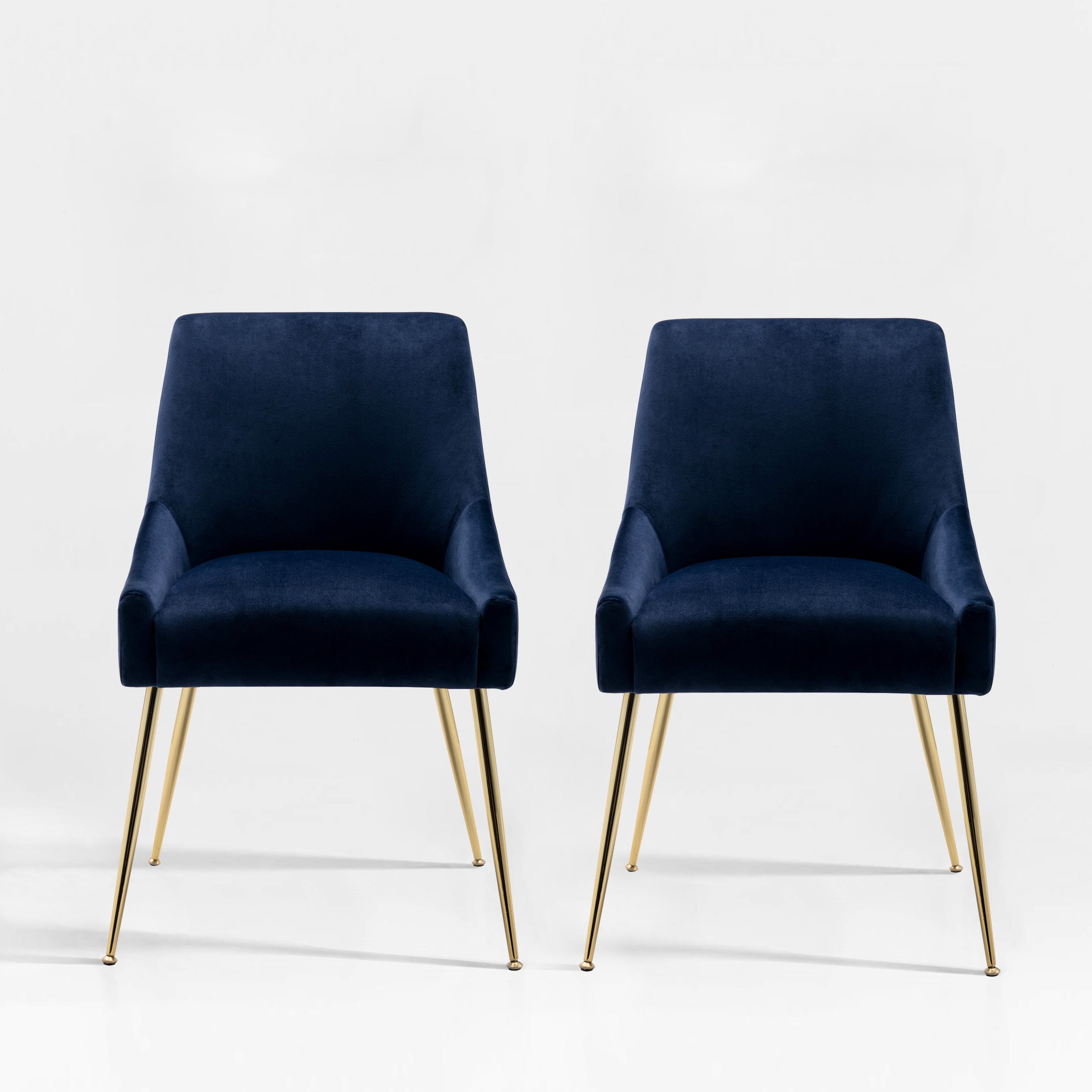 Makala Upholstered Velvet Accent Chair (Set of 2)